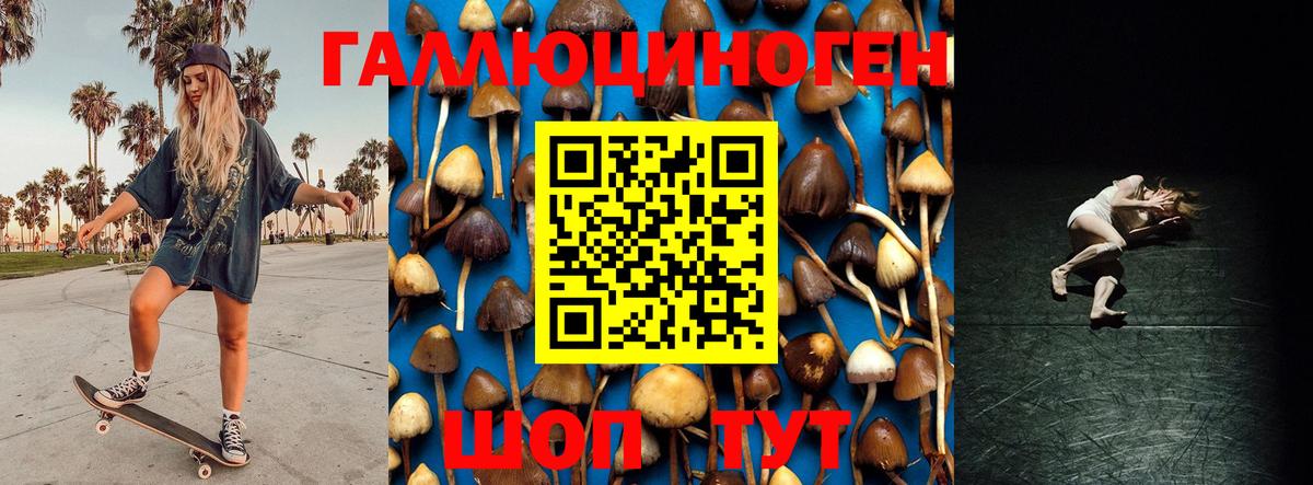 Псилоцибиновые грибы ЛСД Арзамас